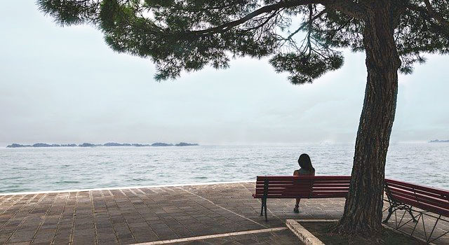 Woman on a bench under a tree, seen from the back, facing across a body of water with low land in the distance